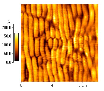 Top ripple