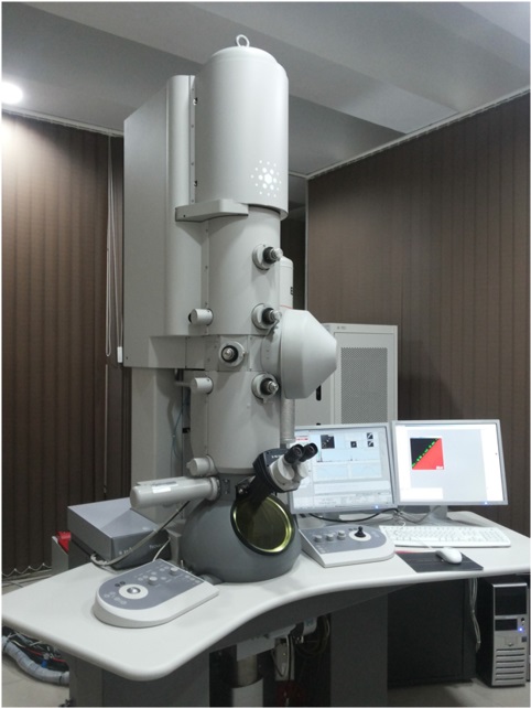 Transmission Electron Microscope Transmission Electron Microscope