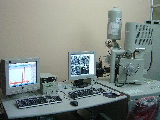 Scanning Electron Microscope